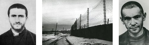 Ronkin, Ginzburg & Mordovia (1969)